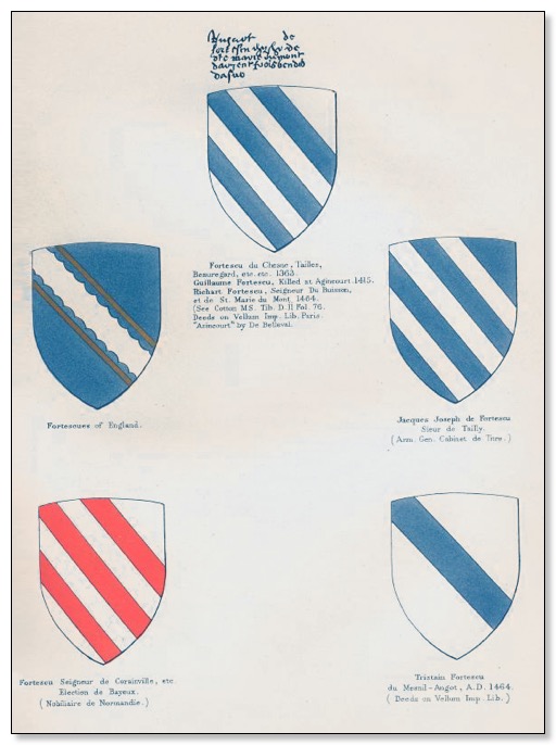 474_SHIELDS