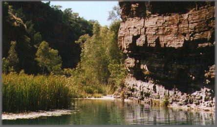 fortfalls